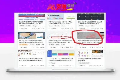 （6187期）大麦抢票_BP全自动抢购软_操作教程+注意事项（6.14更新）-A资源网