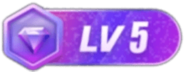 等级-LV5-A资源网