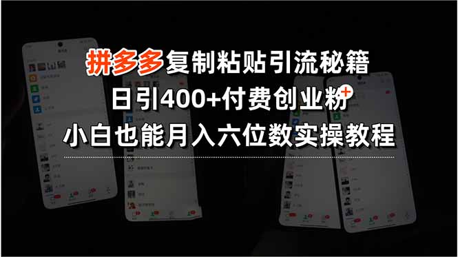 拼多多复制粘贴引流秘籍，日引400+付费创业粉，小白也能月入六位数实操...-A资源网