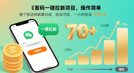 首码一键拉新项目，操作简单，接个验证码就算完成，收益可观， 一小时收益70+【揭秘】-A资源网